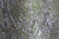 Mudd fibreglass roof work